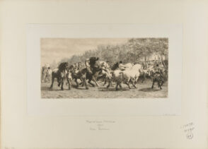 Le Marché aux Chevaux