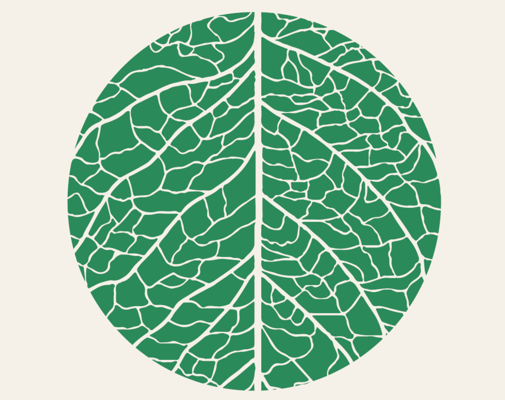 The Grassroots Initiatives Revitalizing Baltimore’s Ecosystems and Tackling Climate Change