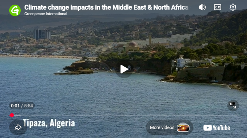 Climate change impacts in the Middle East & North Africa - Greenpeace MENA - Algeria