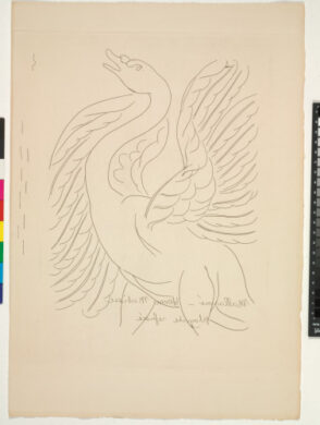 The Swan (refused etching, cancelled)