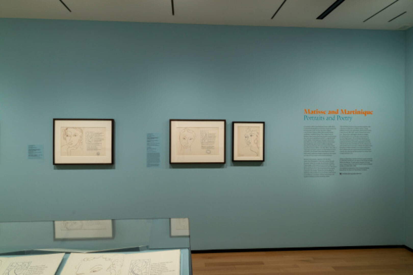 Matisse and Martinique: Portraits and Poetry