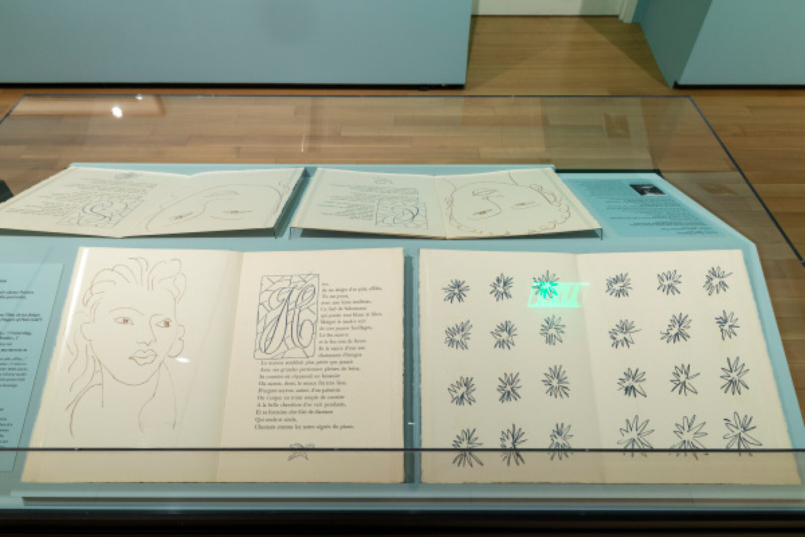 Matisse and Martinique: Portraits and Poetry