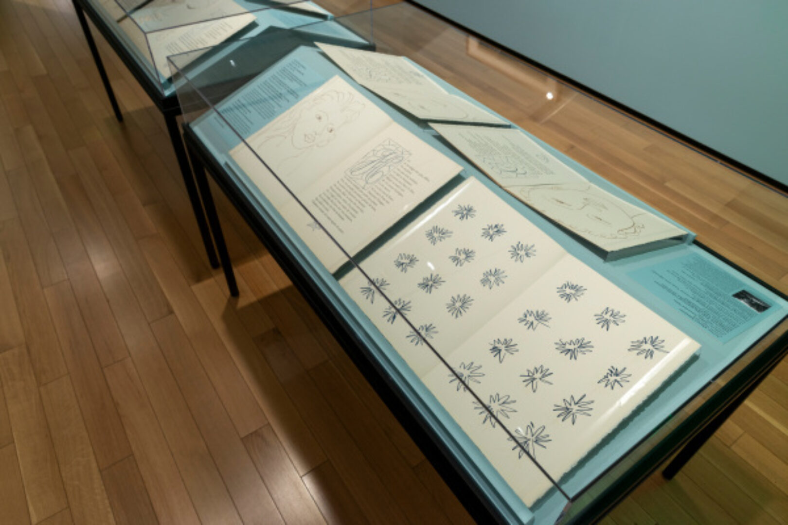 Matisse and Martinique: Portraits and Poetry