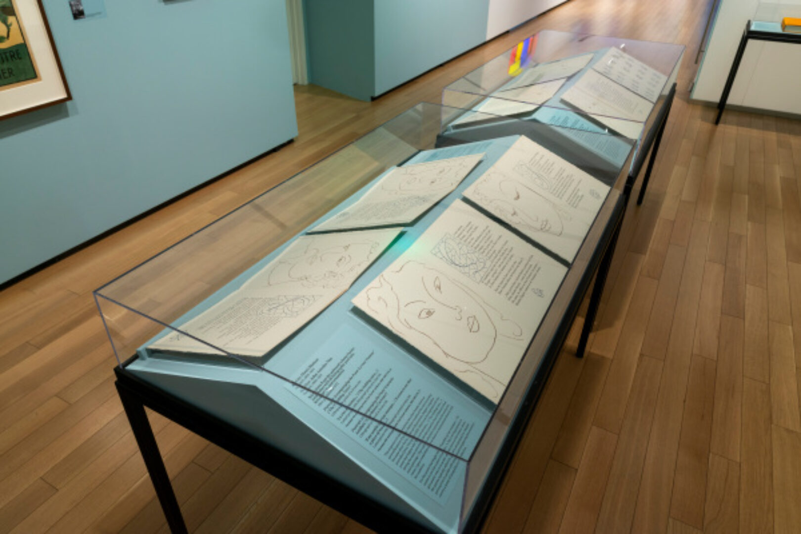 Matisse and Martinique: Portraits and Poetry