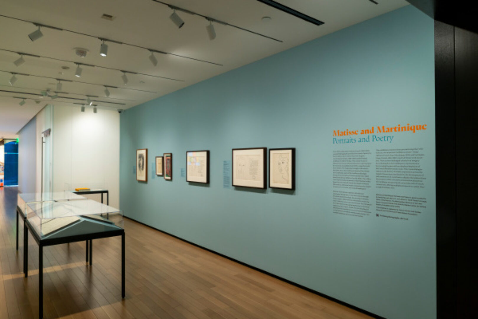 Matisse and Martinique: Portraits and Poetry